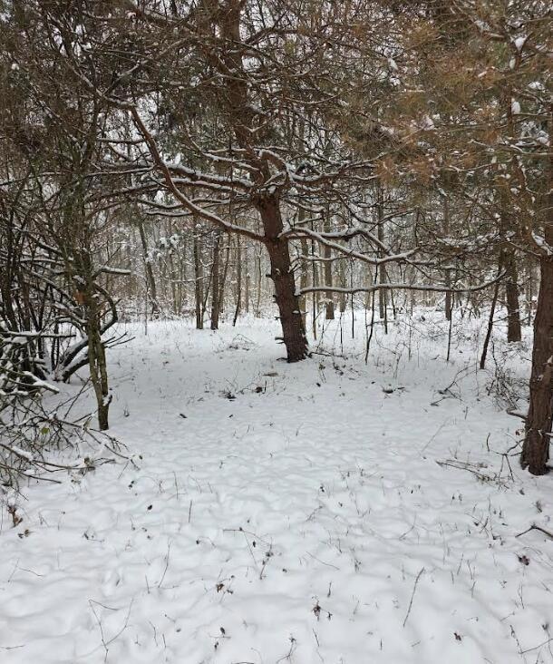 V/L 11th St, Plainwell, MI 49080 - photo 6