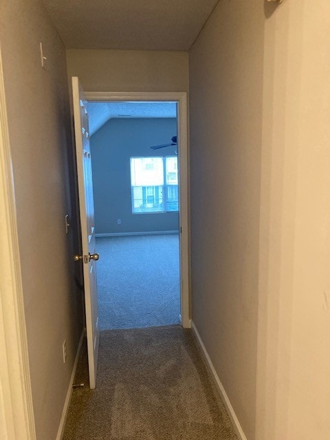 1116 Twin Circle Dr, Nashville, TN 37217 - photo 7