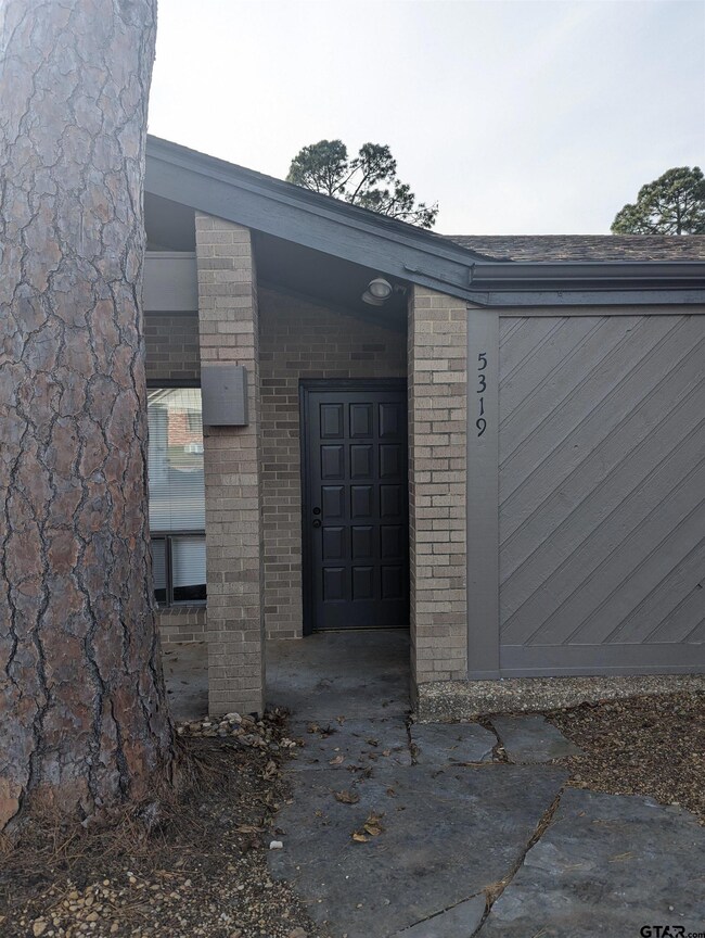 5319 Briar Creek Rd, Tyler, TX 75703 - photo 2