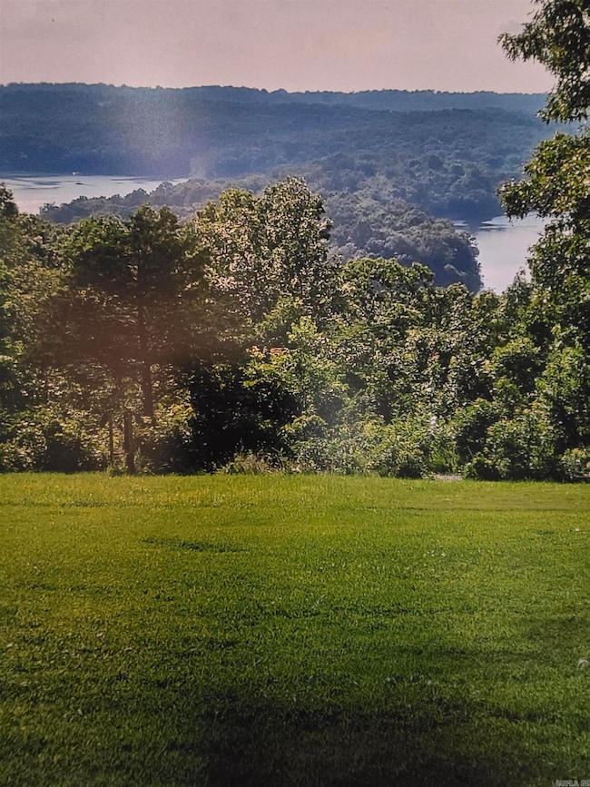 329 Cr 231, Henderson, AR 72544 - photo 3