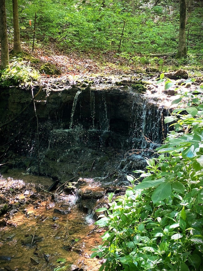 0 3 Island Rd unit RTC2784849, Walling, TN 38587 - photo 7