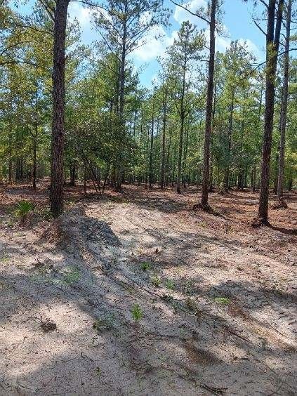 2296 Vic Waters Dr SE, Townsend, GA 31331 - photo 6