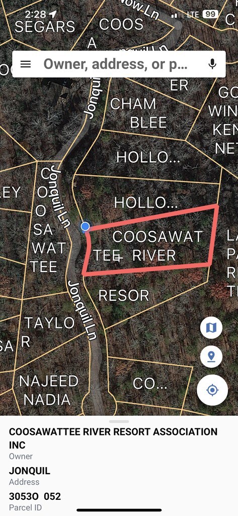 LT595 Jonquil Ln, Ellijay, GA 30540 - photo 2