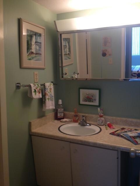 Continental Unit 208 Bathroom vanity