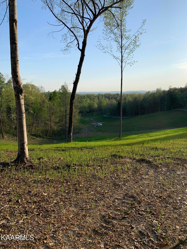 122 Mercy Ln, Cookeville, TN 38506 - photo 4