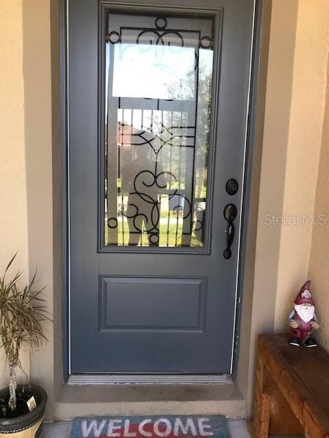 10620 Aldo Moro Dr, Wimauma, FL 33598 - photo 2