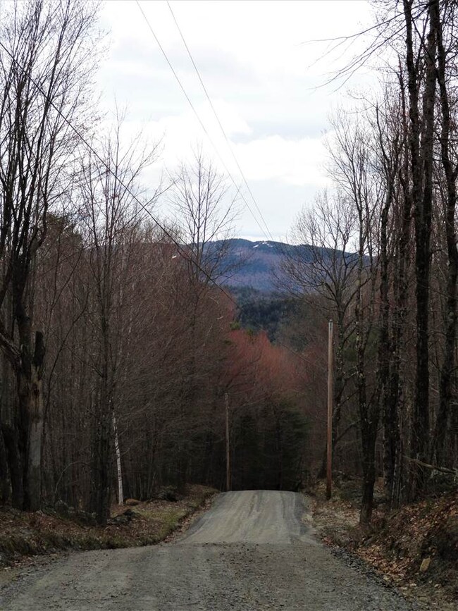 0 Lajoie Rd unit 4745549, Wilmot, NH 03287 - photo 6