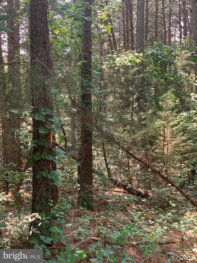 0 Long Branch Rd unit VACV123344, Woodford, VA 22580 - photo 4