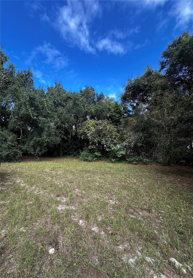 722 Highway 40 W, Inglis, FL 34449 - photo 5