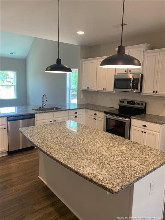 735 Avenue of the Carolinas, Carthage, NC 28327 - photo 7