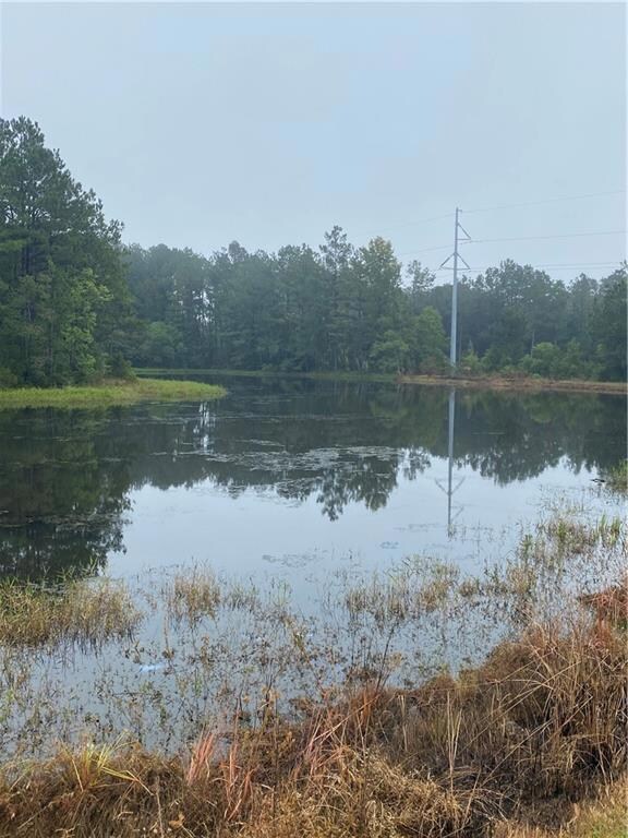 0 Williford Rd unit 163405, Ball, LA 71405 - photo 2