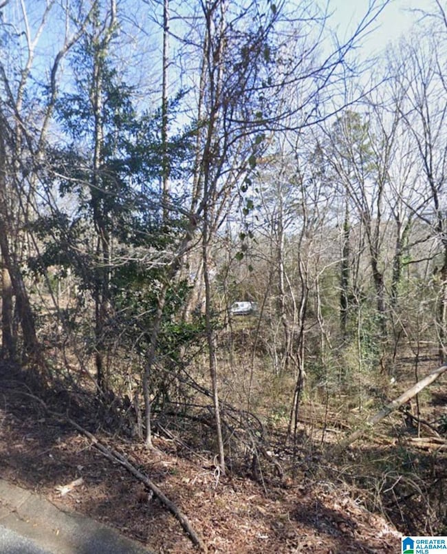 0 Ridgely Dr unit 21437103, Anniston, AL 36207 - photo 2