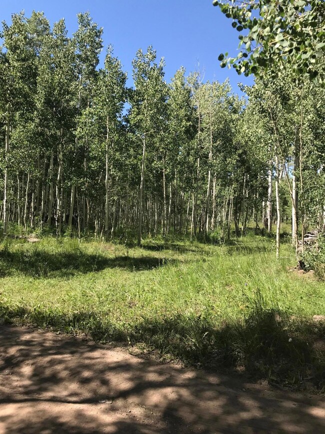 0 Lot 15 Blk B Unit 1 unit Green Meadows Acres, Brian Head, UT 84719 - photo 3