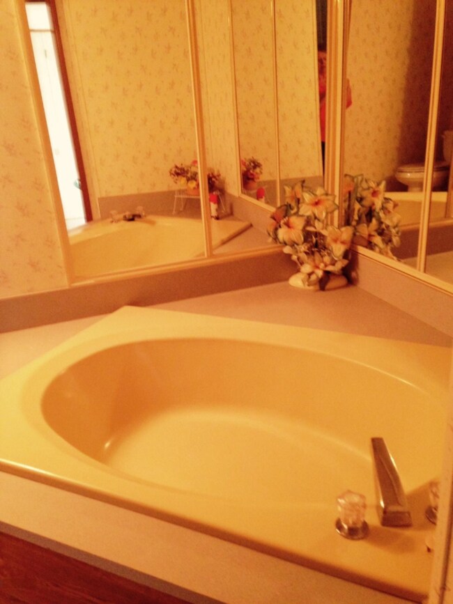 46081 Anthony St, Paw Paw, MI 49079 - photo 5