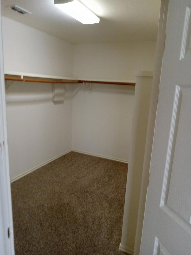 Spacious closet featuring carpet