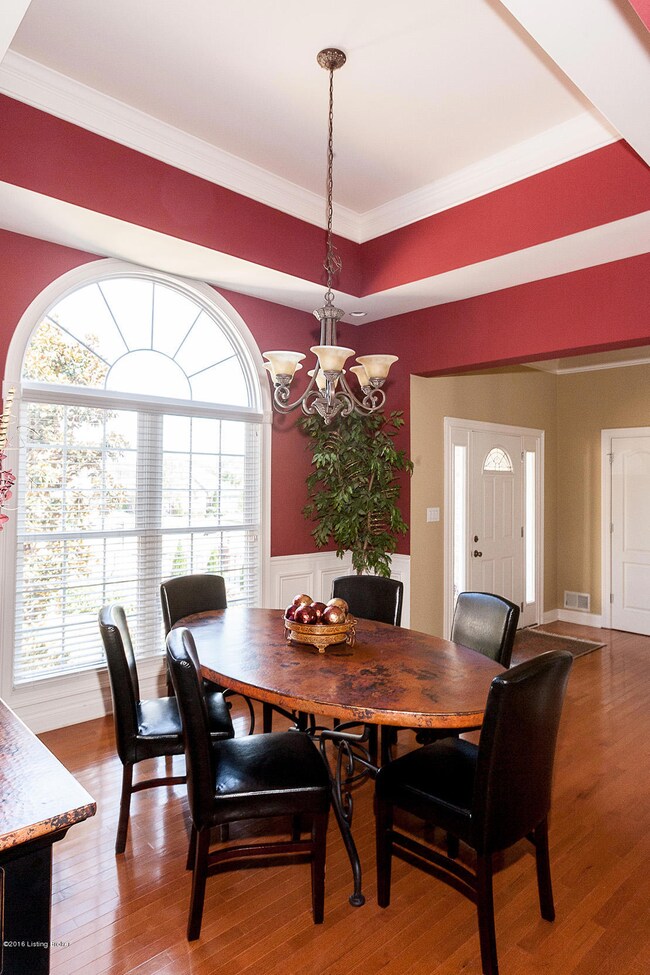 Dining room trey ceiling