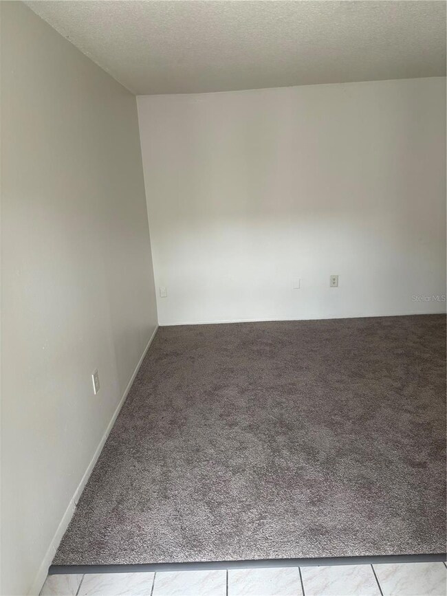 1347 Baywatch Loop unit 204, Tampa, FL 33612 - photo 3