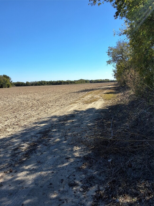 T B D Hcr 3124 (Main St), Bynum, TX 76631 - photo 5