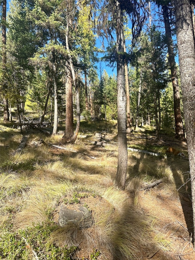 000 Bhong Ln, Marion, MT 59925 - photo 7