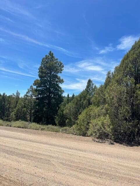 Lot 32 Cree Way unit Block A Long Valley, Duck Creek, UT 84762 - photo 5