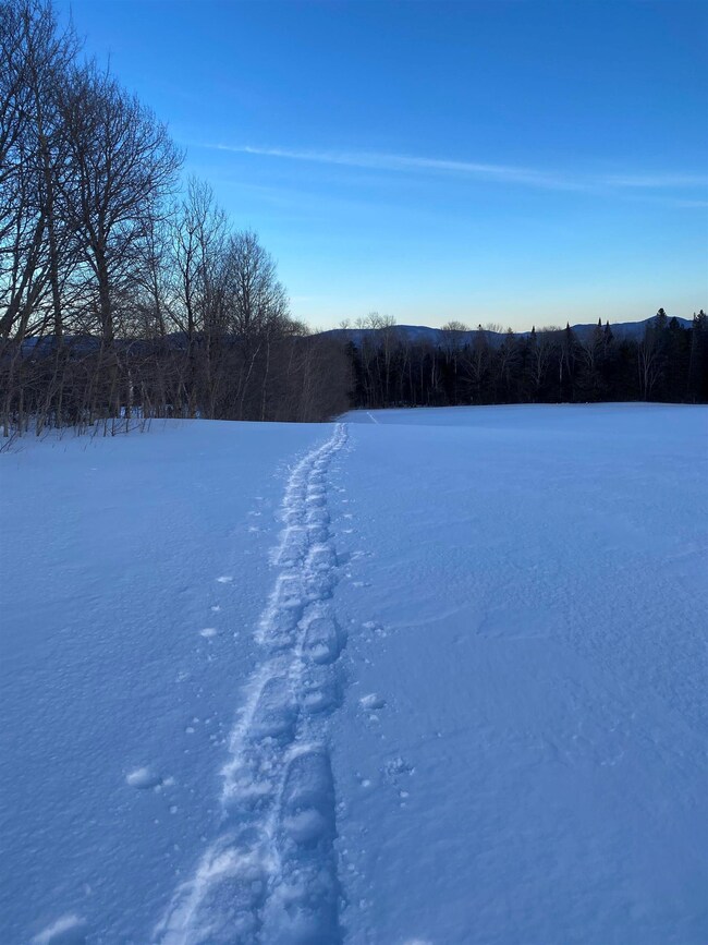 00 4 Corners Rd, Sutton, VT 05867 - photo 2