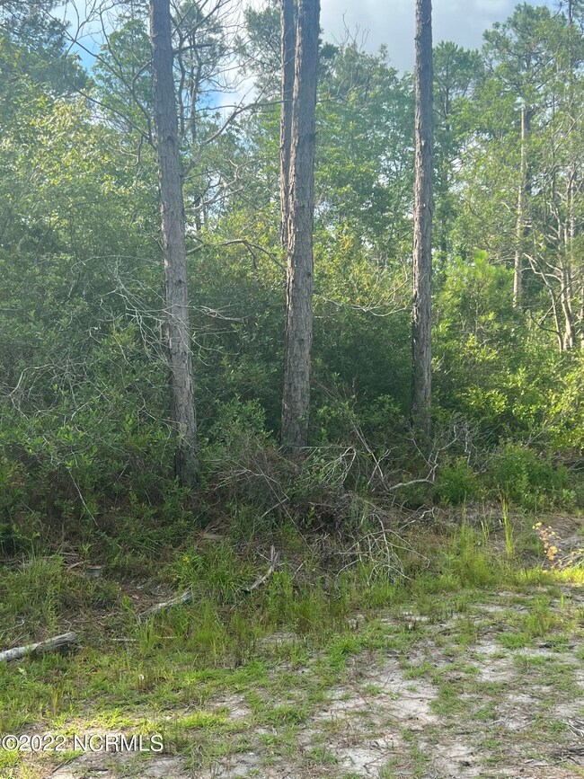 429 W South Shore, Boiling Spring Lakes, NC 28461 - photo 3