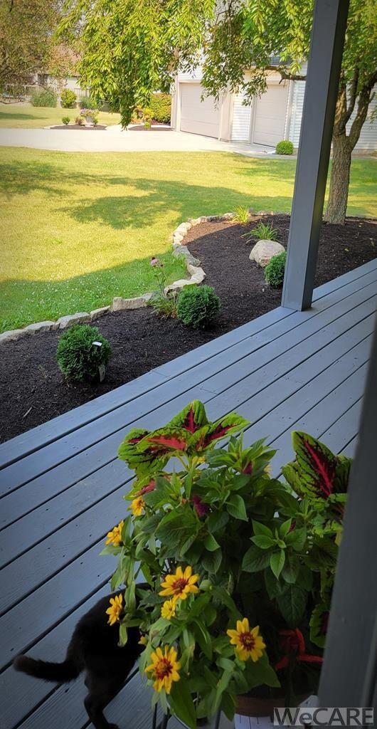 Photo 6