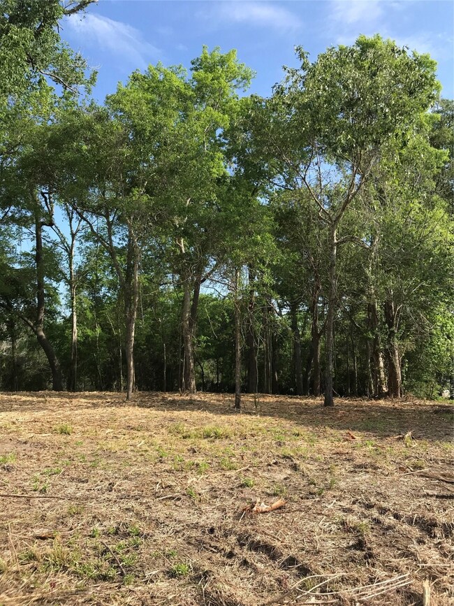 0 County Road 417 Parkway Dr unit 10051907, Dayton, TX 77535 - photo 2