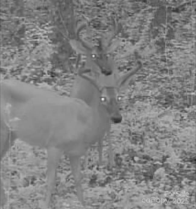 V/L Southern Way, Nebo, NC 28761 - photo 6