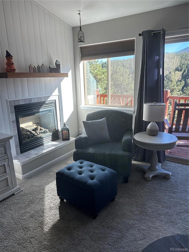 303 Virginia Rd unit C, Bailey, CO 80421 - photo 6