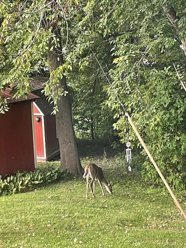 18 Roberts St, Montpelier, VT 05602 - photo 4