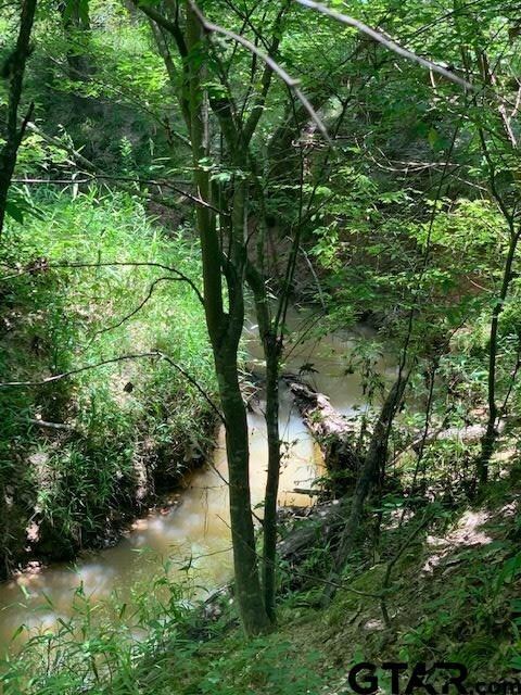 14358 Big Oak Bay Rd, Tyler, TX 75707 - photo 2