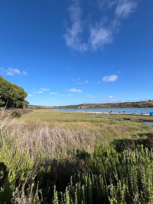 2513 Delphinium Ln, Carlsbad, CA 92008 - photo 7