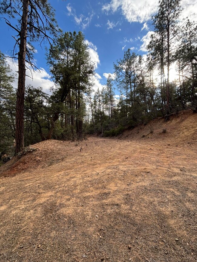 398 B & C Apache Trail, Pine, AZ 85544 - photo 2