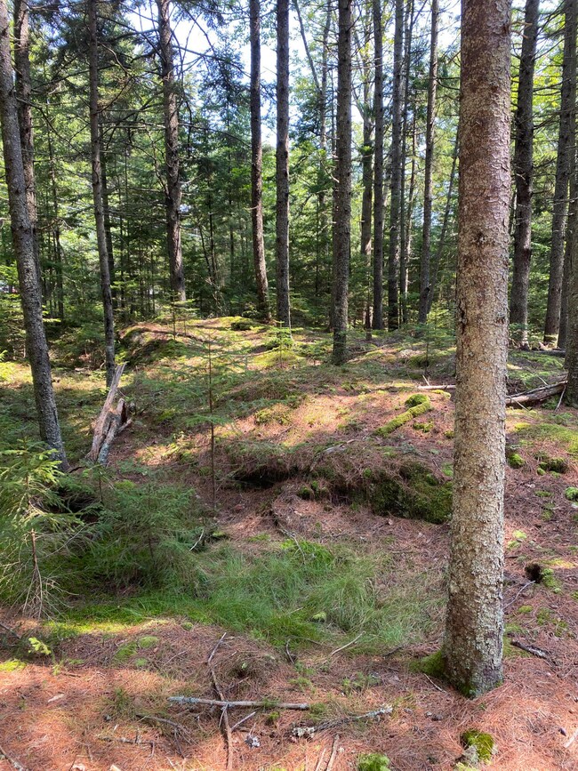 lot 13 Upper Spruce Shore Rd, Harpswell, ME 04079 - photo 3