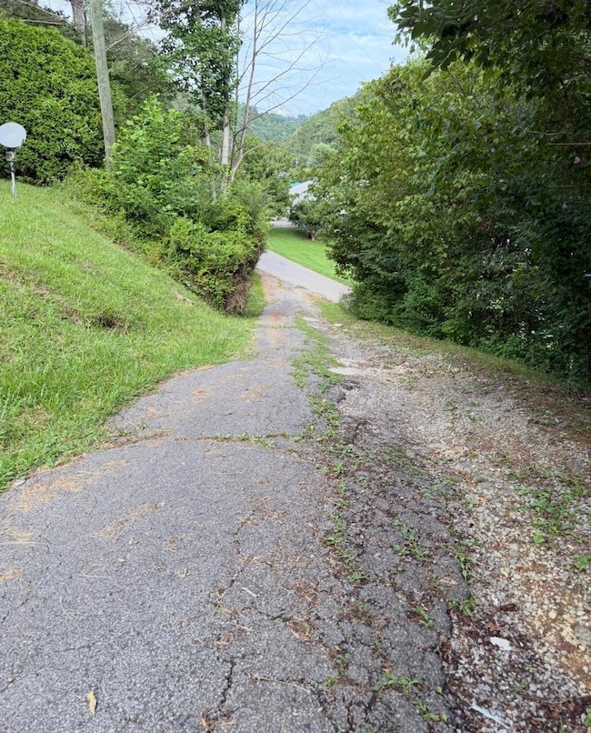 1039 Right Fork Bull Creek Rd, Prestonsburg, KY 41653 - photo 6