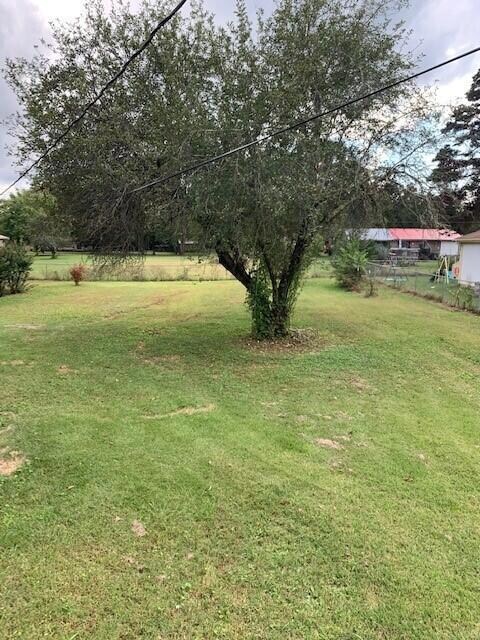 141 backyard