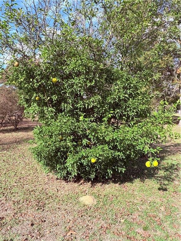 211 Big Island Loop, Deville, LA 71328 - photo 7