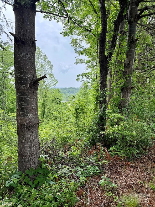 12 Willow Knoll Dr, Weaverville, NC 28787 - photo 5