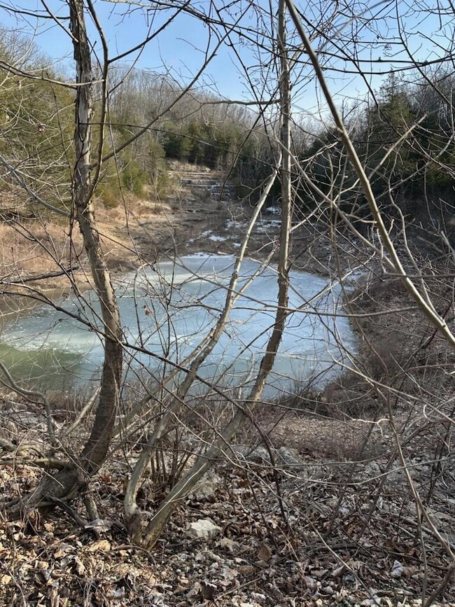 Table Rock Lake, Acreage Pond