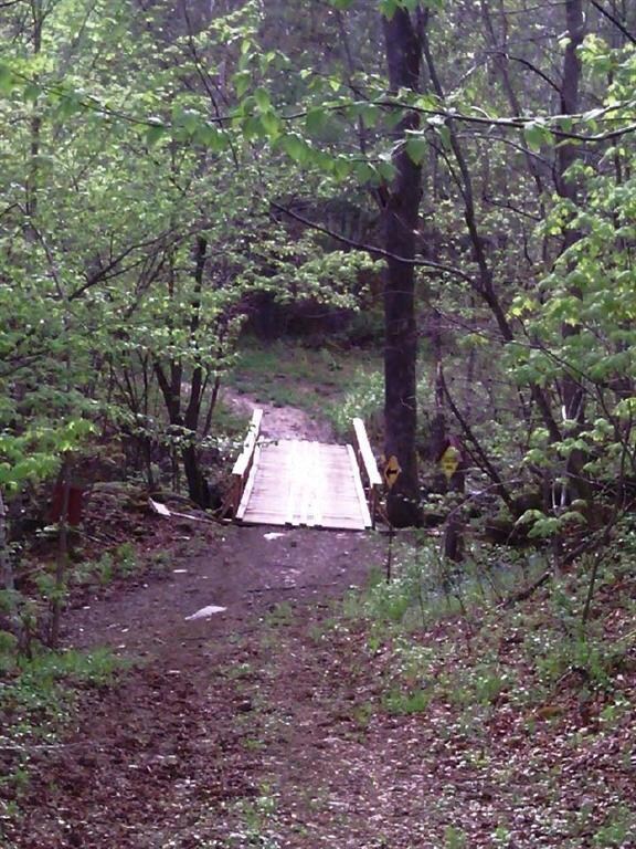 Trail bridge over brook.