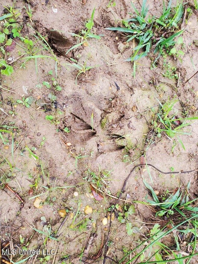 No Enterprise Rd, McComb, MS 39648 - photo 7