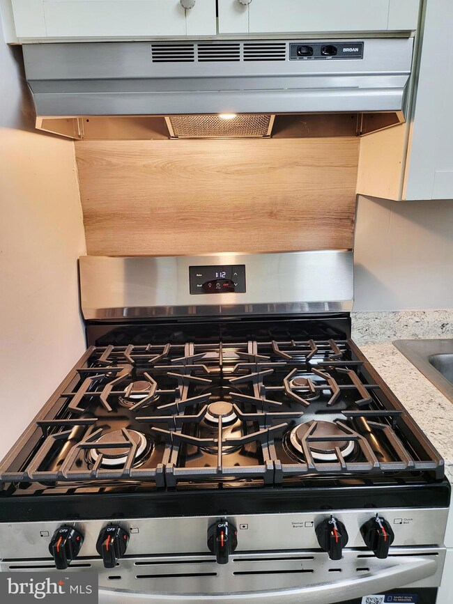 5915 Tamar Dr unit 3, Columbia, MD 21045 - photo 3