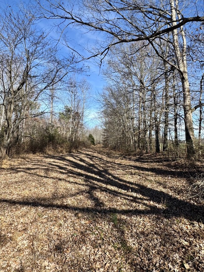 0 Lewisburg Hwy unit RTC3033027, Pulaski, TN 38478 - photo 5