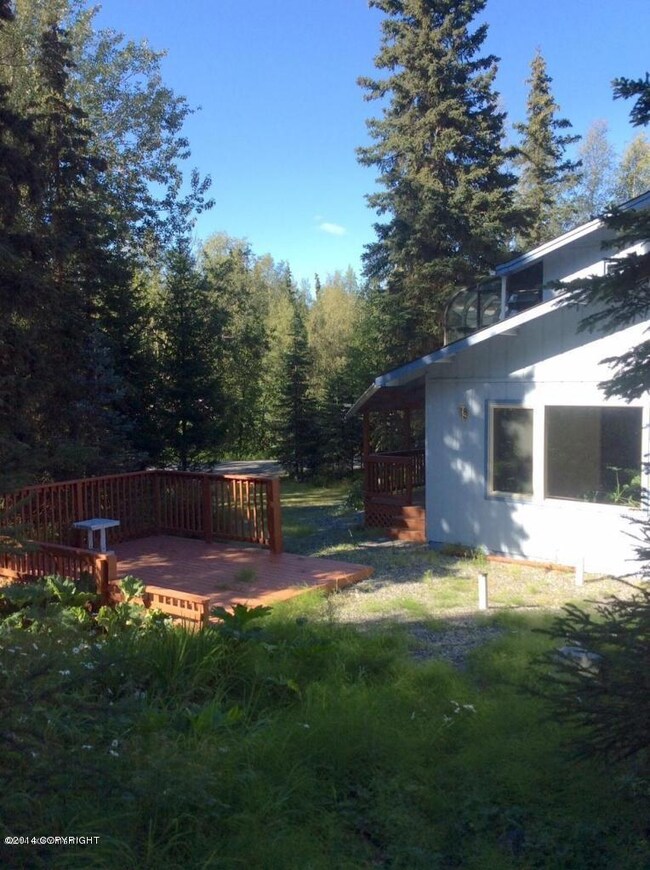 back yard beautiful lot