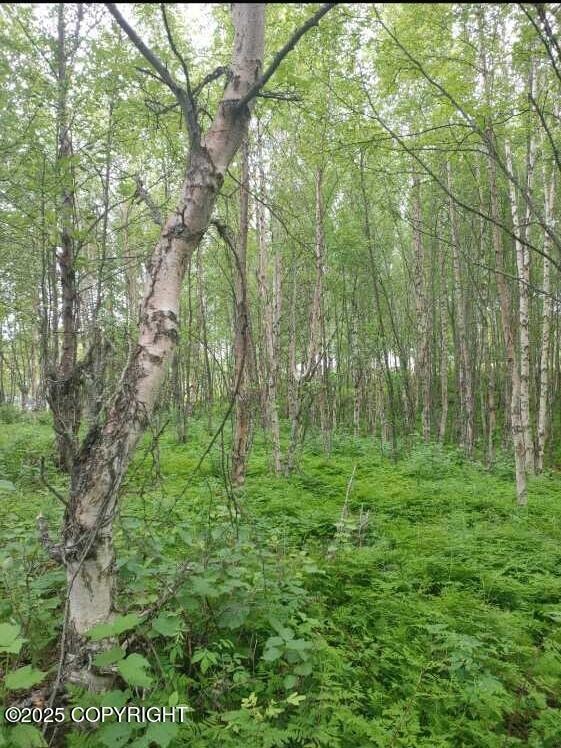 000 Oxford Ave, Kalifornsky, AK 99669 - photo 5