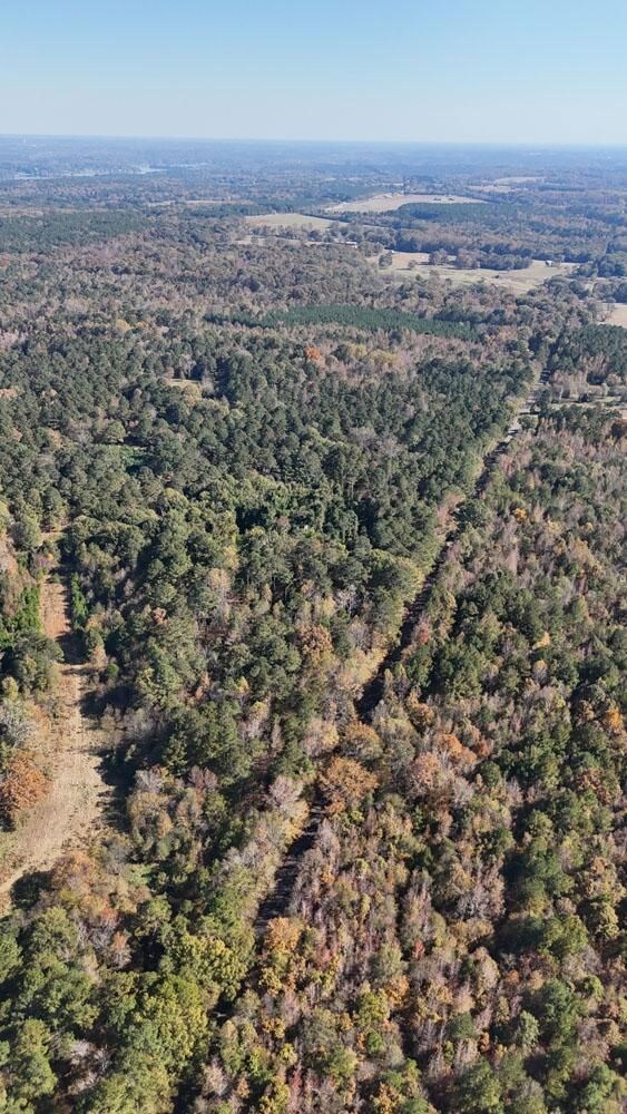 Saffold Rd, Madison, GA 30650 - photo 5