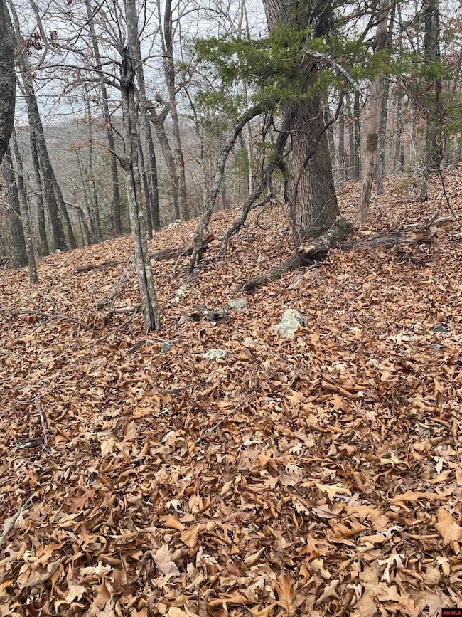 001-02798-001 Island Head Ln, Flippin, AR 72634 - photo 2