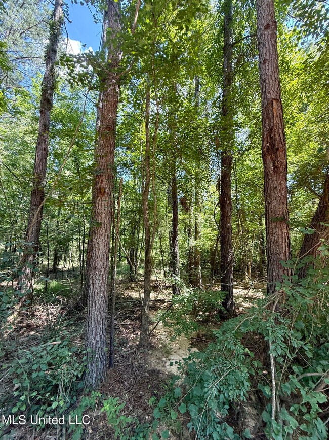 0 Broome Rd, Wesson, MS 39191 - photo 5