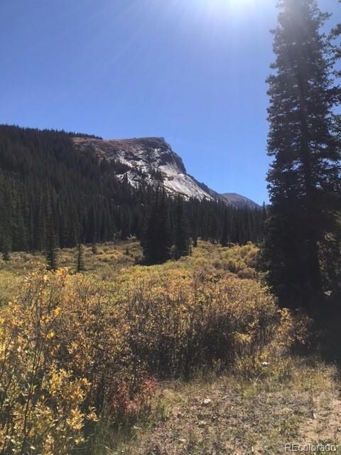 South Lot Chicago Creek Rd, Idaho Springs, CO 80452 - photo 4